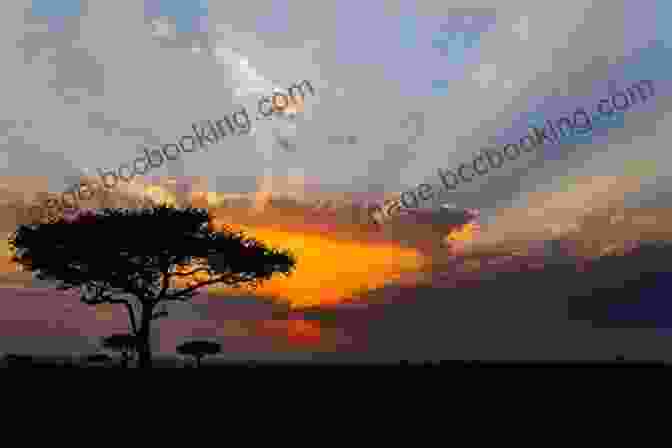A Breathtaking Sunset Over The African Savanna. Don T Look Behind You : A Safari Guide S Encounters With Ravenous Lions Stampeding Elephants And Lovesick Rhinos