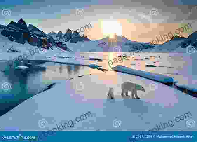 A Group Of Adventurers Traversing An Icy Landscape, Encountering A Polar Bear Random Arctic Encounters (RPG Random Encounter Tables For Fantasy Tabletop Dungeon Masters 2)