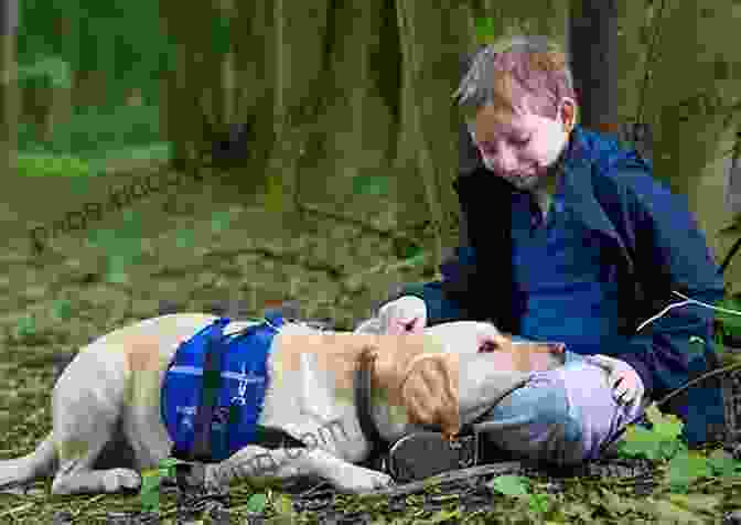 A Mother And Her Two Autistic Children Playing With Their Dogs All Because Of Henry: My Story Of Struggle And Triumph With Two Autistic Children And The Dogs That Unlocked Their World