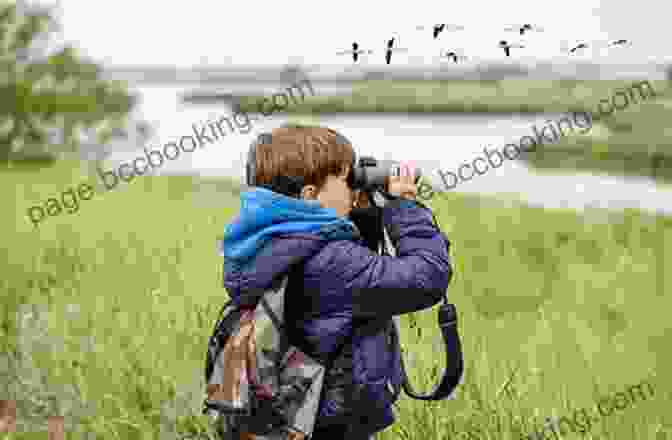A Person Using Binoculars To Watch Birds Pete Dunne S Essential Field Guide Companion: A Comprehensive Resource For Identifying North American Birds