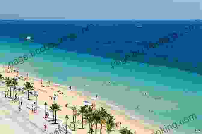 A Photo Of The Beach In Fort Lauderdale, Florida Reef Smart Guides Florida: Fort Lauderdale Pompano Beach And Deerfield Beach: Scuba Dive Snorkel Surf (Best Diving Spots In Florida)