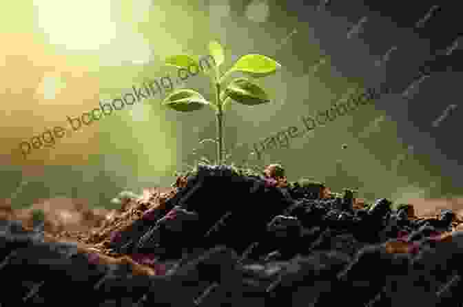 A Seedling Emerging From The Soil, Symbolizing The Growth Of Ideas From Small Discoveries Little Bets: How Breakthrough Ideas Emerge From Small Discoveries