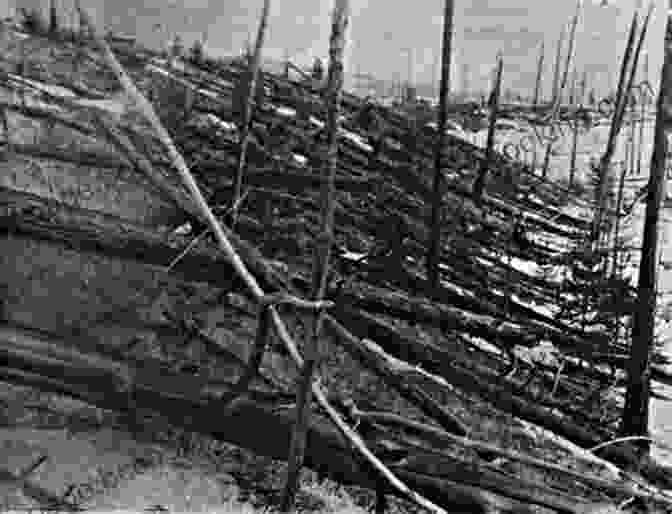 A Vast Area Of Scorched Forest In Siberia, The Aftermath Of The Tunguska Event, A Powerful Explosion Of Unknown Origin. EGYPT GUIDEBOOK Volume 2 : A Traveller S Guide To The Land Of History And Mystery