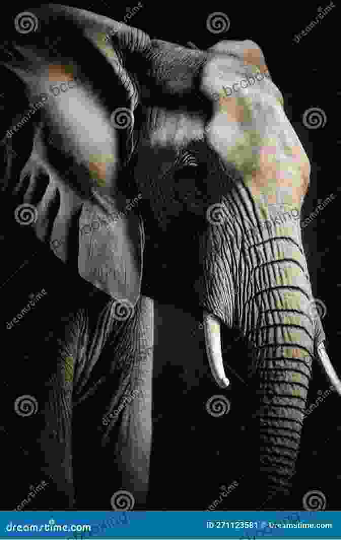An Elderly Elephant Matriarch, Her Eyes Radiating Wisdom And Experience, Representing The Profound Teachings Animals Can Offer On A Hoof And A Prayer