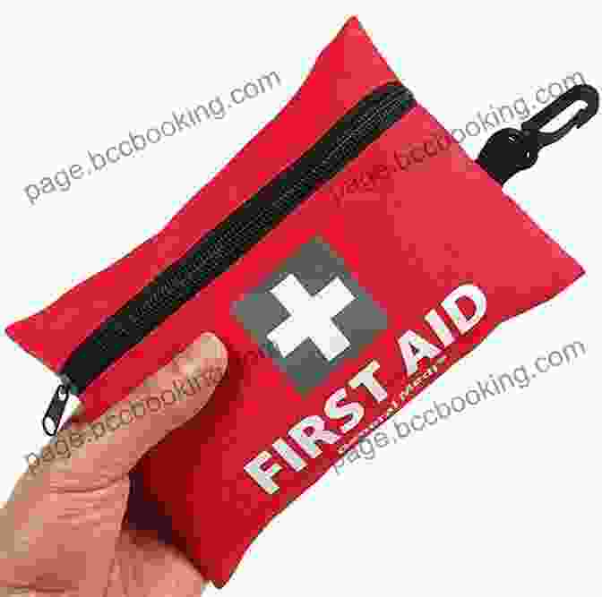 Compact First Aid Kit For Extreme Environments Survival First Aid (Extreme Survival In The Military)