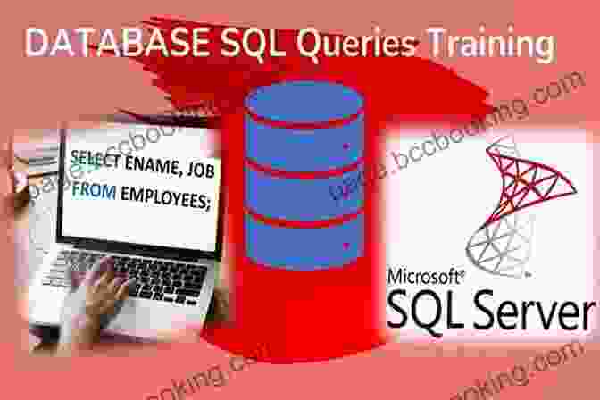 Hands On Practice With SQL Exercises T SQL Fundamentals Rick Sekuloski