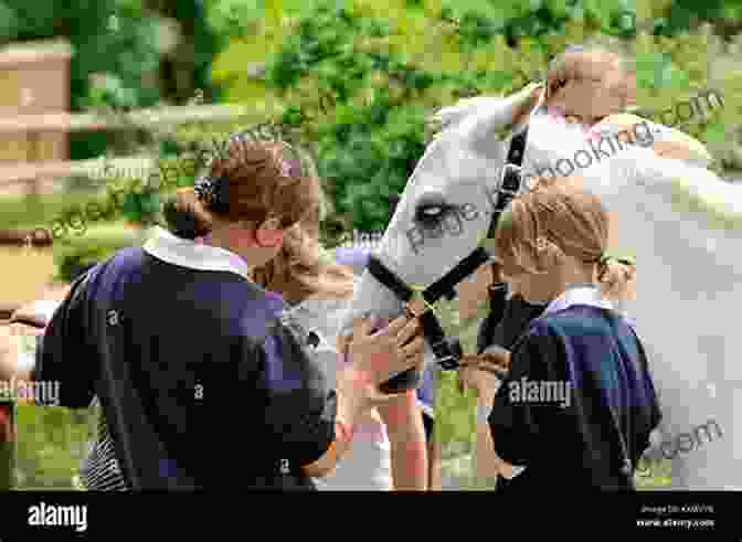 Pony Club Members Gather For A Meeting Comet And The Champion S Cup (Pony Club Secrets 5)