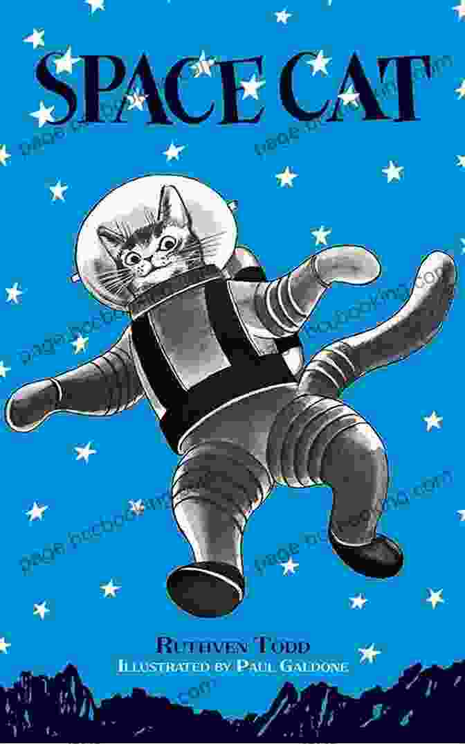 Space Cat Book Cover, Featuring A Curious Black Cat Looking Up At The Starry Night Sky Space Cat Ruthven Todd