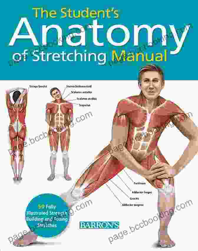 The Cover Of The Anatomy Stretching Training Book Anatomy Stretching Training For Marathoners: A Step By Step Guide To Getting The Most From Your Running Workout