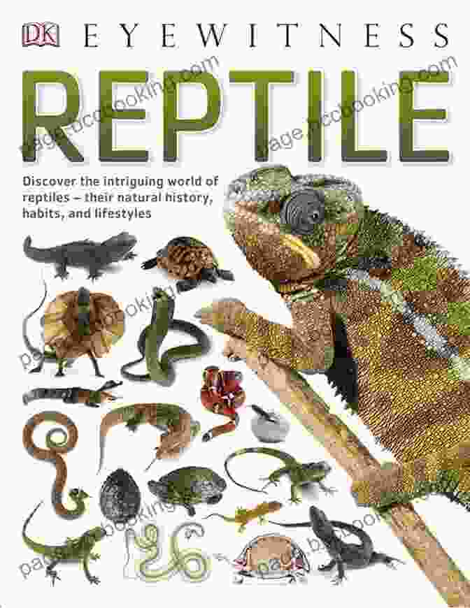 The Fantastic World Of Reptiles Book Cover With Vibrant Reptile Images The Fantastic World Of Reptiles