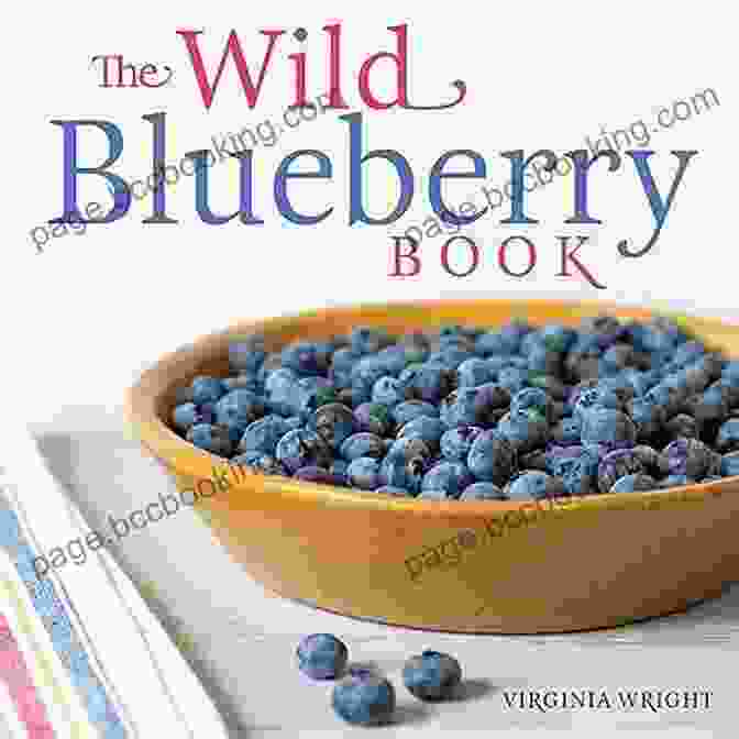 The Wild Blueberry Book Cover By Virginia Wright The Wild Blueberry Virginia M Wright