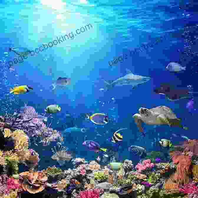 Underwater Scene From Gone Fishing Gone Fishing (Disney Junior: Mickey And The Roadster Racers) (Little Golden Book)