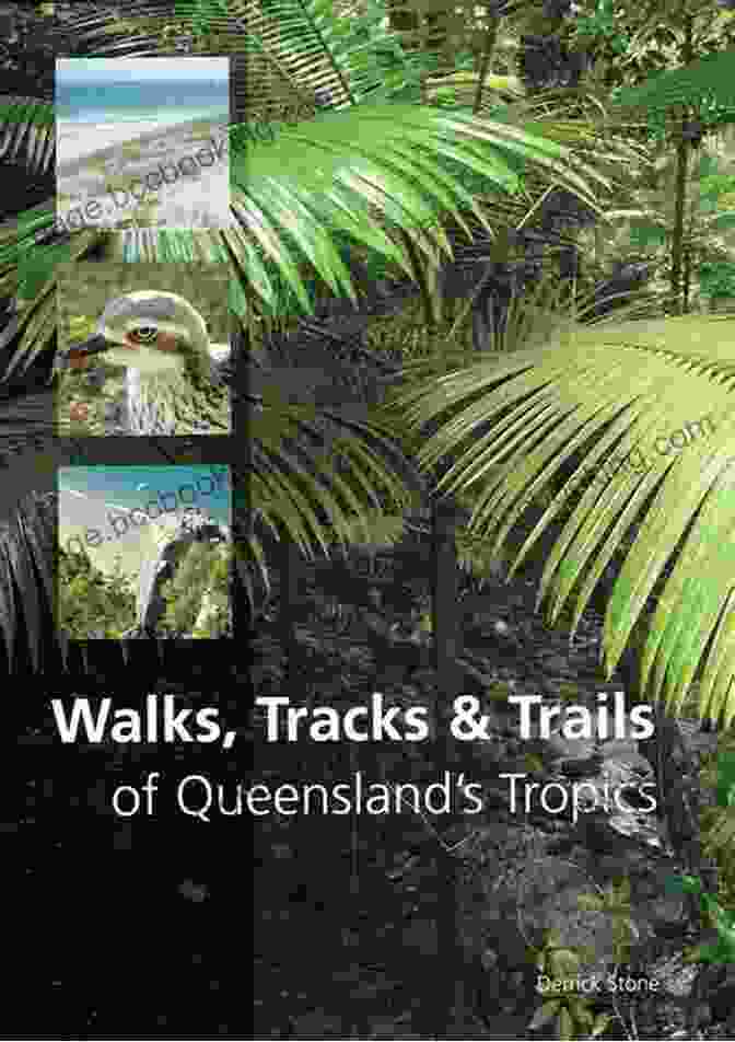 Walks, Tracks, And Trails Of Queensland Tropics Book Cover Walks Tracks And Trails Of Queensland S Tropics