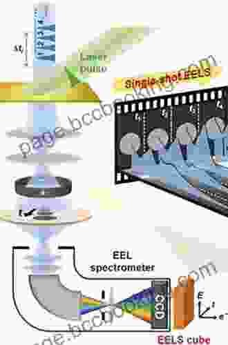 Electron Energy Loss Spectroscopy In The Electron Microscope
