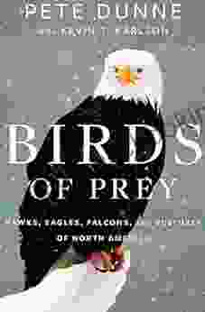 Birds Of Prey: Hawks Eagles Falcons And Vultures Of North America