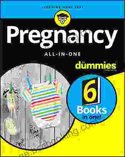 Pregnancy All In One For Dummies Phillip Stephen Schulz