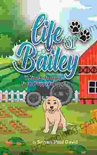 Life Of Bailey: A True Life Story FROM PUPPY TO DOG