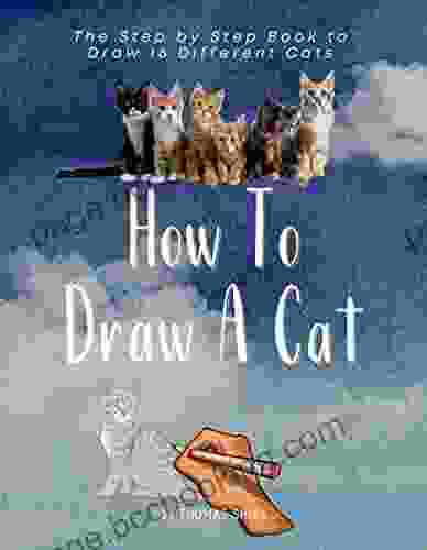 How To Draw A Cat: The Step By Step To Draw 16 Different Cats