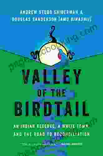 Valley Of The Birdtail: An Indian Reserve A White Town And The Road To Reconciliation